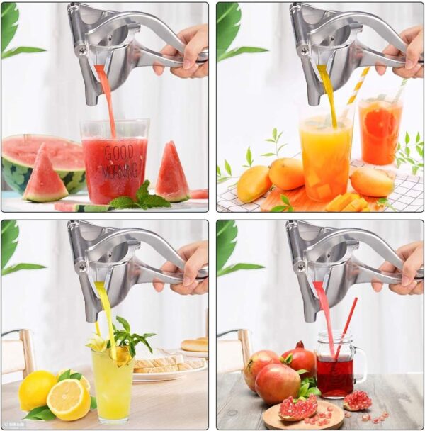 handhold press fruit juicer