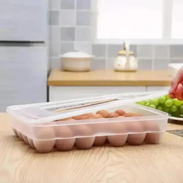 24 grid egg storage box