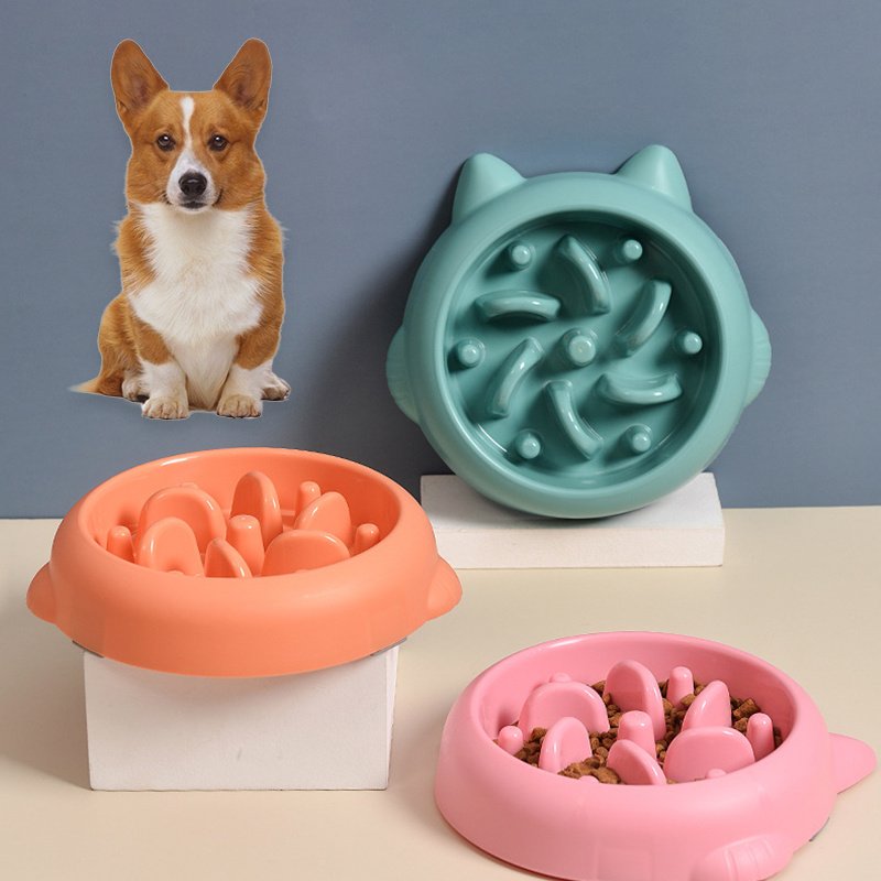 Slow feeder dog bowl for healthy eating