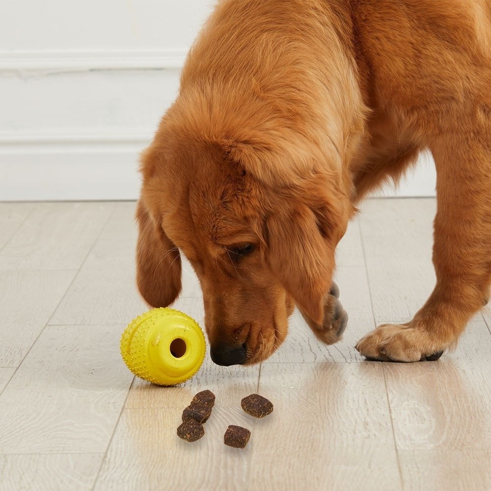 Treat dispensing dog toy for interactive play